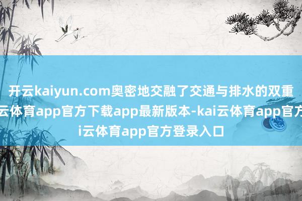 开云kaiyun.com奥密地交融了交通与排水的双重功能-kai云体育app官方下载app最新版本-kai云体育ap