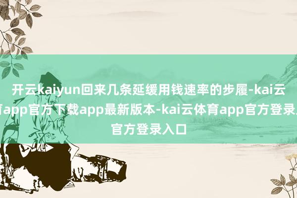 开云kaiyun回来几条延缓用钱速率的步履-kai云体育app官方下载app最新版本-kai云体育app官方登录入口