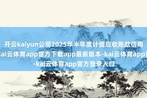 开云kaiyun公司2025年半年度计提应收账款信用减值亏空1-kai云体育app官方下载app最新版本-kai云体育app官方登录入口